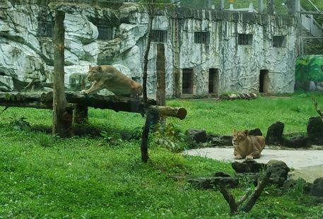 Qianlingshan Zoo