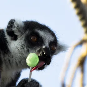 Subei Wild Animal Park