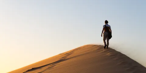 沙漠探險