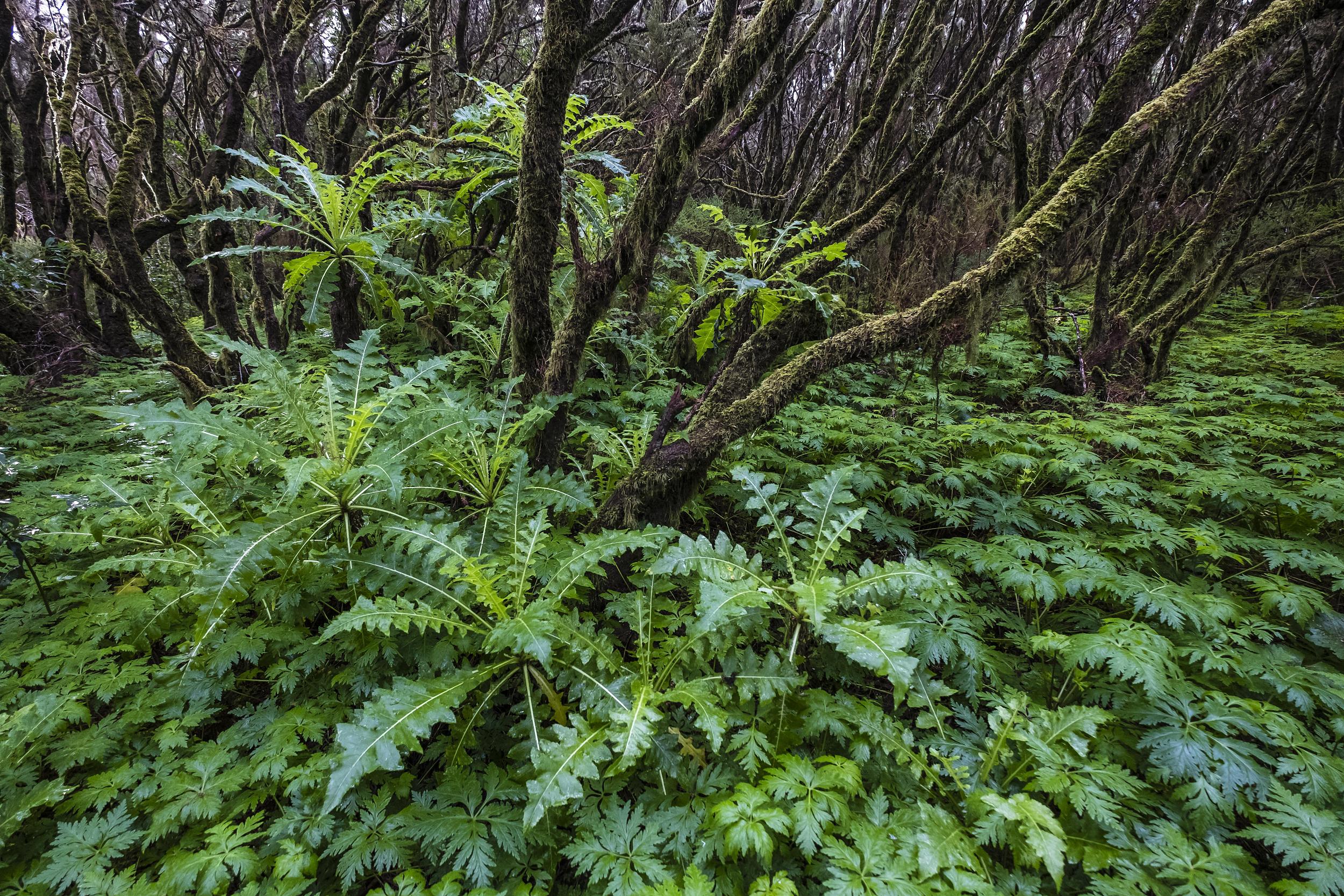 THE 15 BEST Things to Do in Quebradillas - 2023 (with Photos