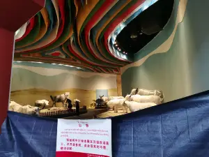 Yak Museum of Tibet