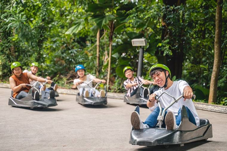 Skyline Luge Singapore Activity