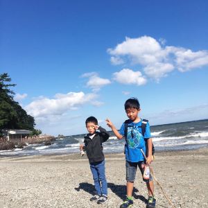 三重 伊勢志摩旅行 キャッスルイン津で宿泊 有名な二見浦 Trip Com 三重県 トラベルガイド