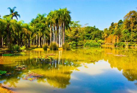 중국과학원 시솽반나 열대 식물원(중과원 써쌍판납 열대식물원)