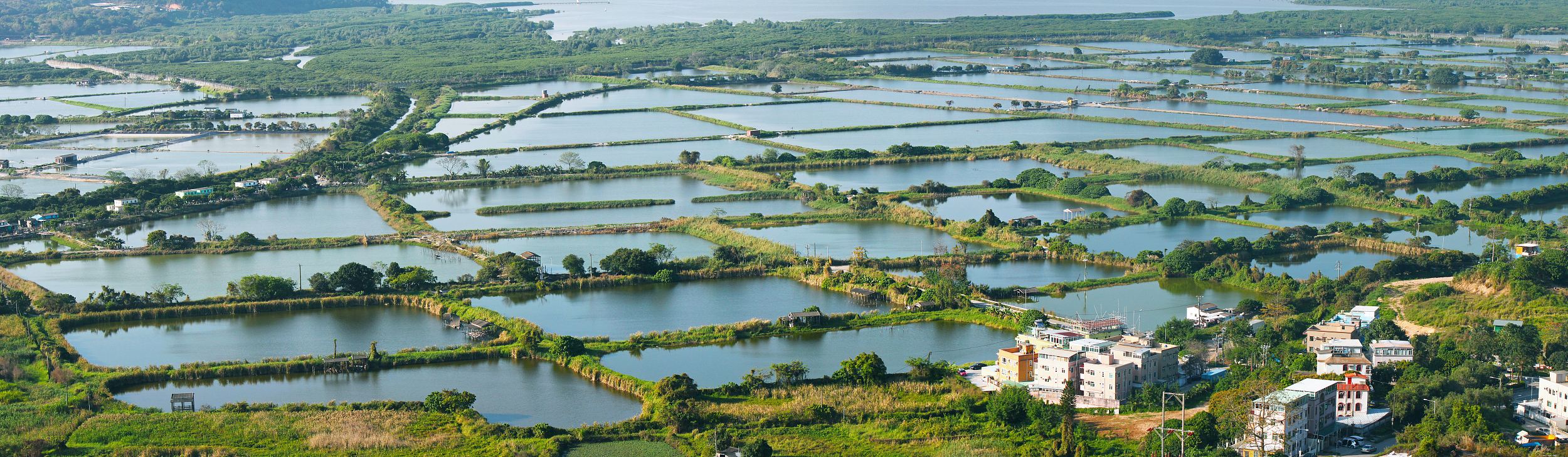中国大陸南極村