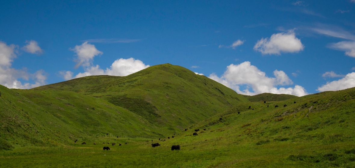 10 Best Things to do in Contra Costa County, California Contra Costa