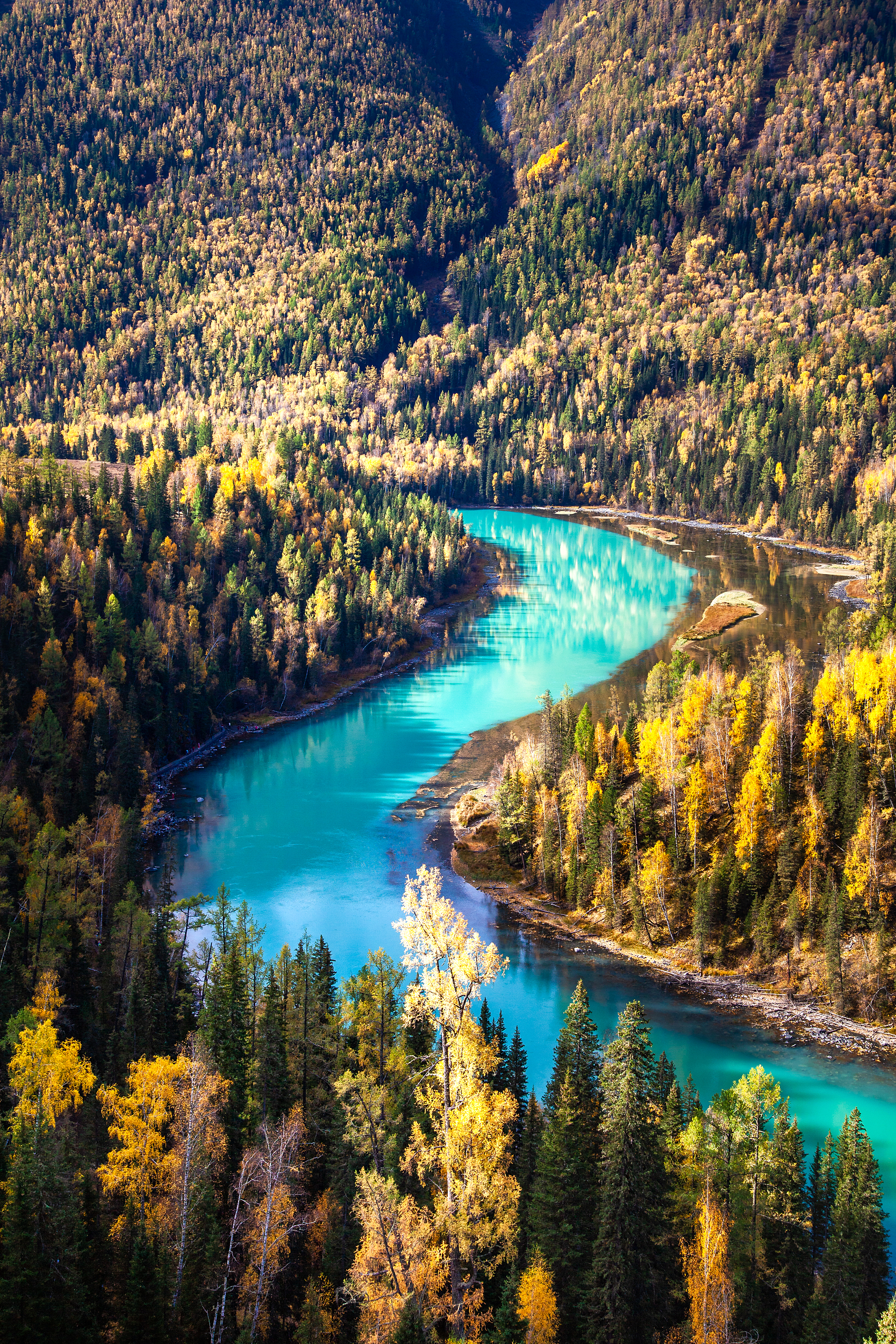 喀納斯 Kanas Tuva Village 評判 案内 トリップドットコム