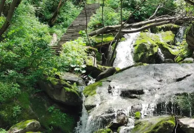 Xiangyu Forest Park Popular Attractions Photos