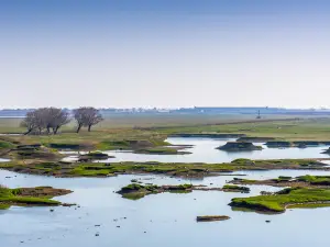 East Dongting Lake National Nature Reserve