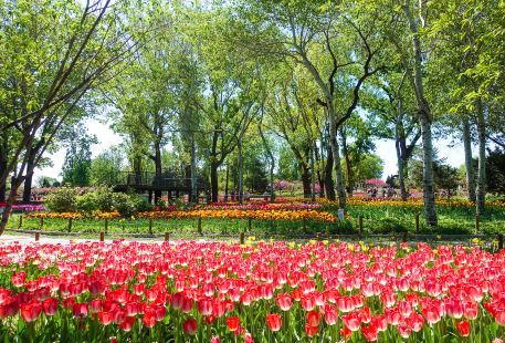 Beijing Botanical Garden