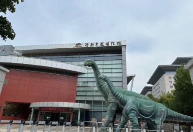 河南自然博物館 熱門景點照片