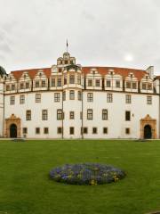 Herzog Palace (Herzogschloss)
