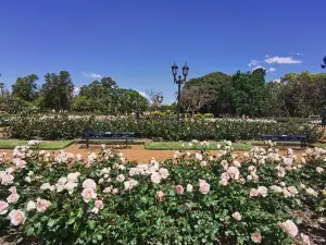 玫瑰花園步道