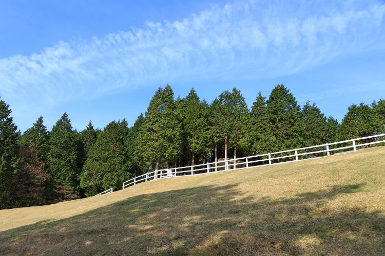 Kobe Itinerary 4 Days: Rokkosan Pasture