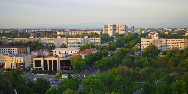 X.videos in Tashkent