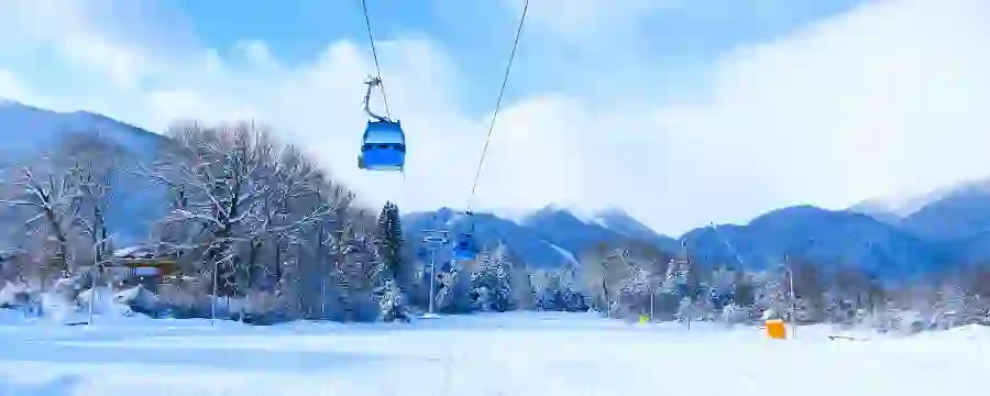 Trip.com
