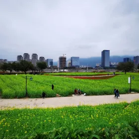 Nanjiangbin Ecological Park
