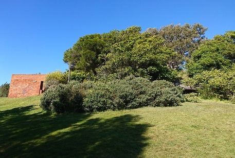 Green Point Reserve