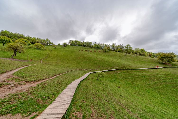 關山牧場蒙古部落蒙古包旅遊攻略指南 關山牧場蒙古部落蒙古包評論 關山牧場蒙古部落蒙古包附近推薦 Trip Com