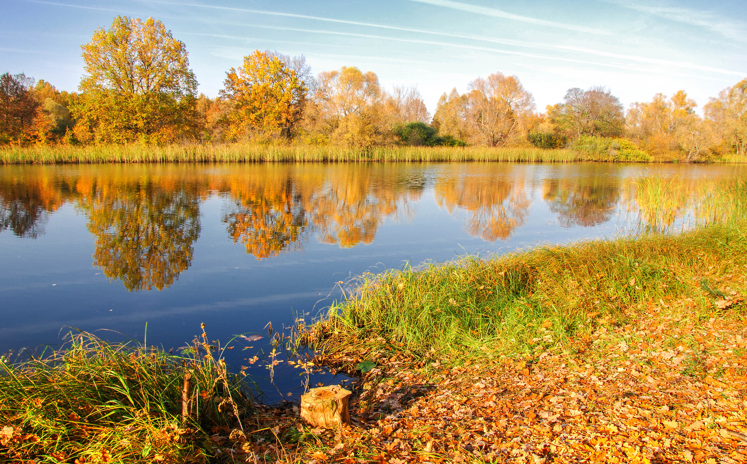 金湖楊国家森林公園のレビュー 金湖楊国家森林公園のチケット 金湖楊国家森林公園の割引 金湖楊国家森林公園の交通機関 所在地 営業時間 金湖楊国家森林公園周辺の観光スポット ホテル グルメ Trip Com
