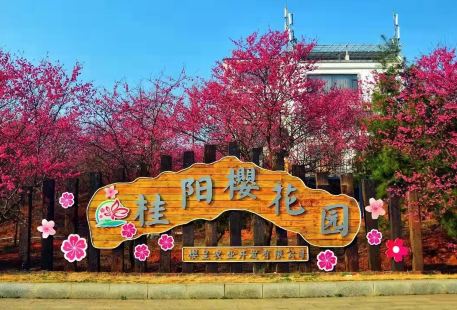 Guiyang Cherry Garden
