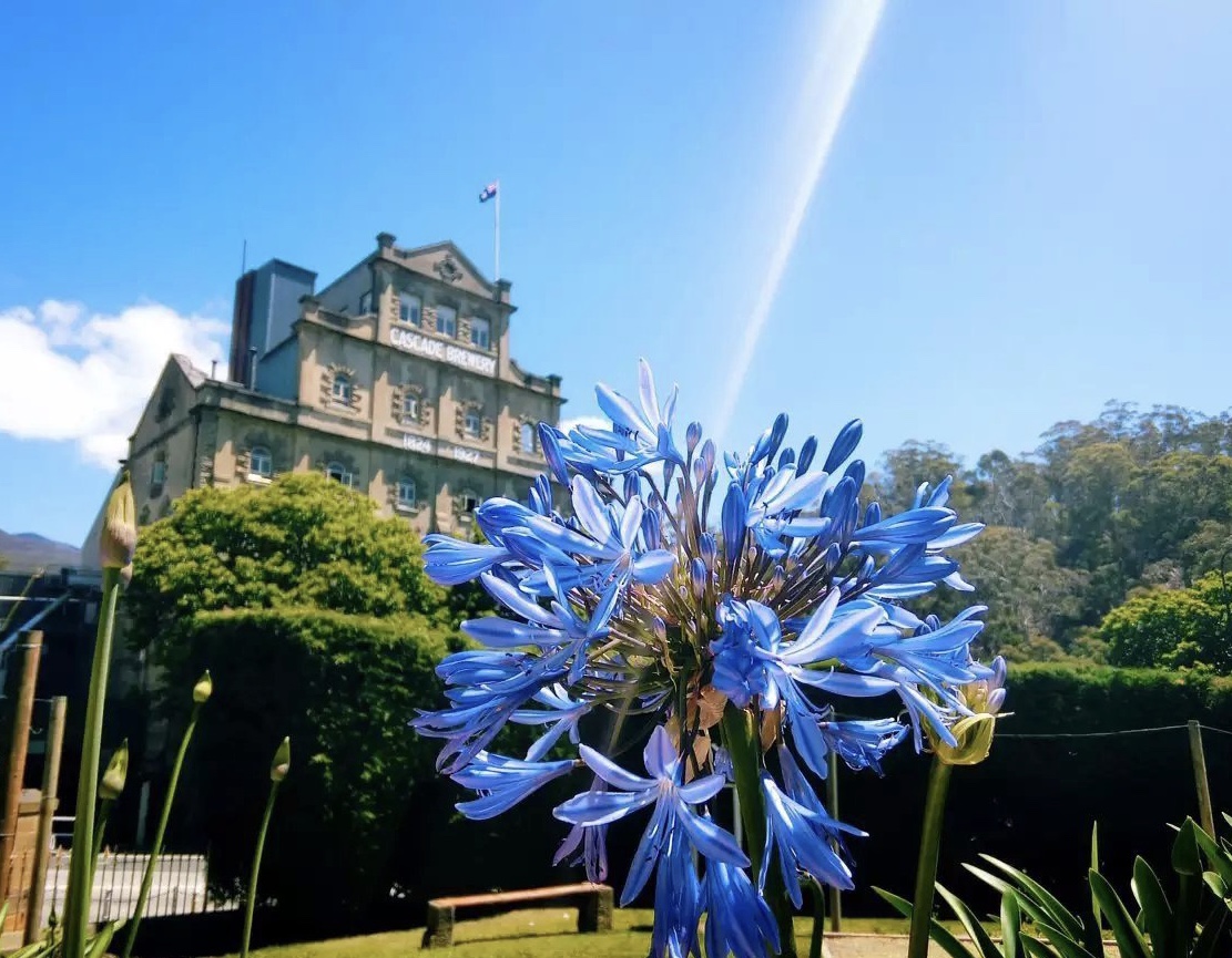 Travel 4 Days in Hobart Best Vacation Spots in Hobart