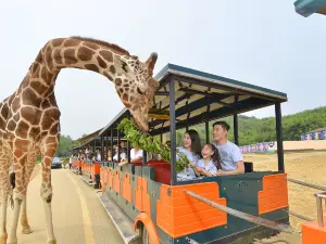 항저우 야생동물원(항주 야생동물세계)