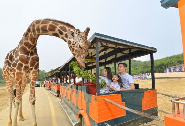 杭州野生動物世界 熱門景點照片
