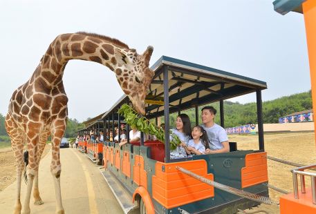 Hangzhou Safari Park