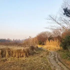 Guihe Wetland Park
