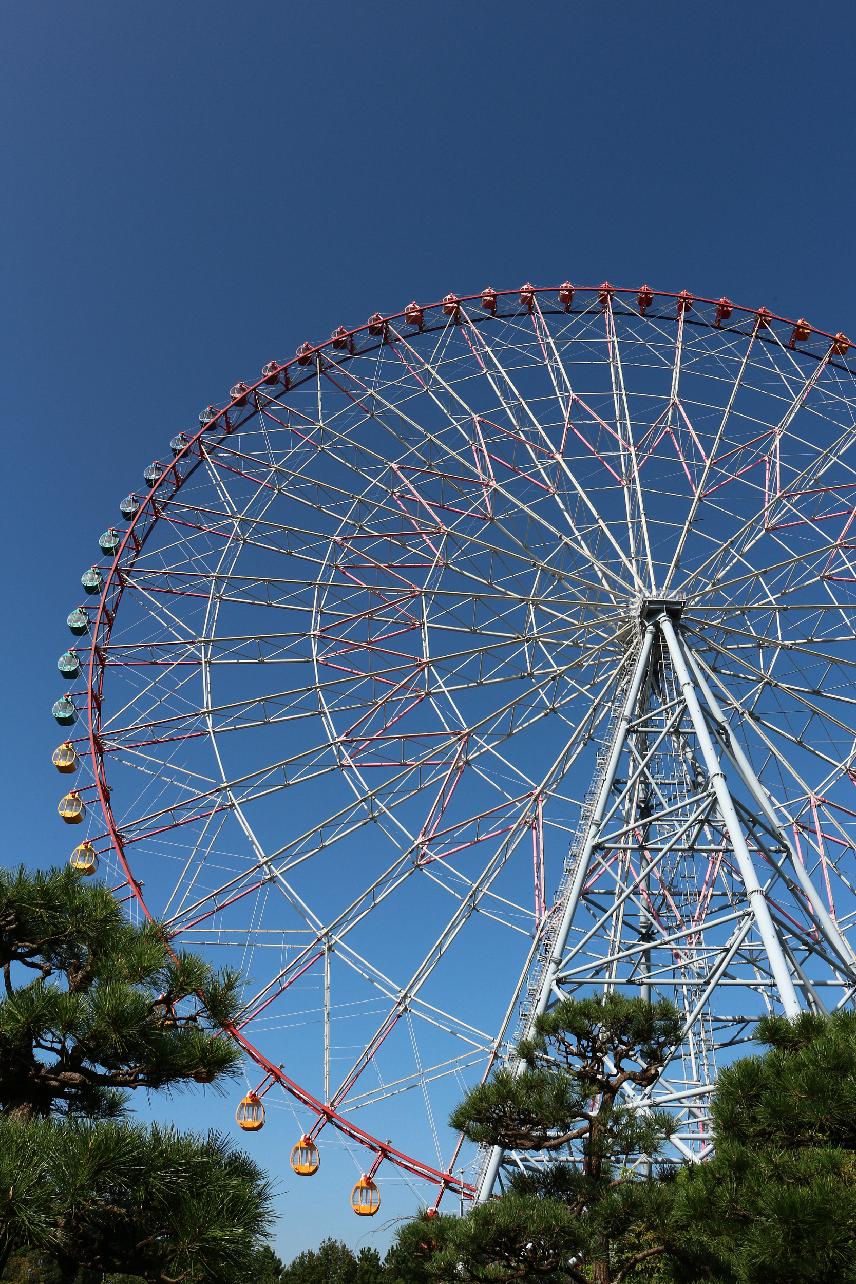 Kasai Rinkai Park Photos Photos Of Tokyo Attractions Trip Moments