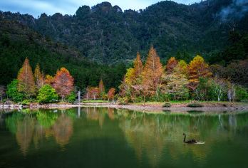Recreation Area of Mingchi National Forest 명소 인기 사진