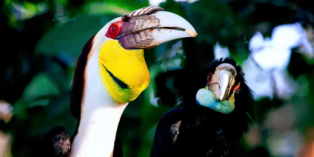 絶対に行くべきフォールブルックの観光スポット トリップドットコム