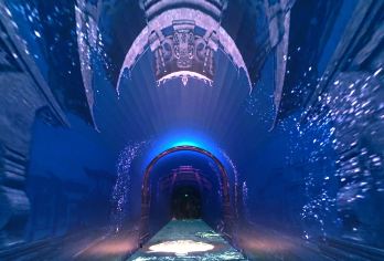 夢幻千島湖·時光隧道 熱門景點照片