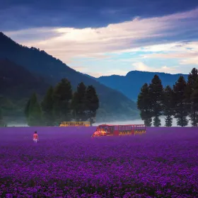 石浦花海