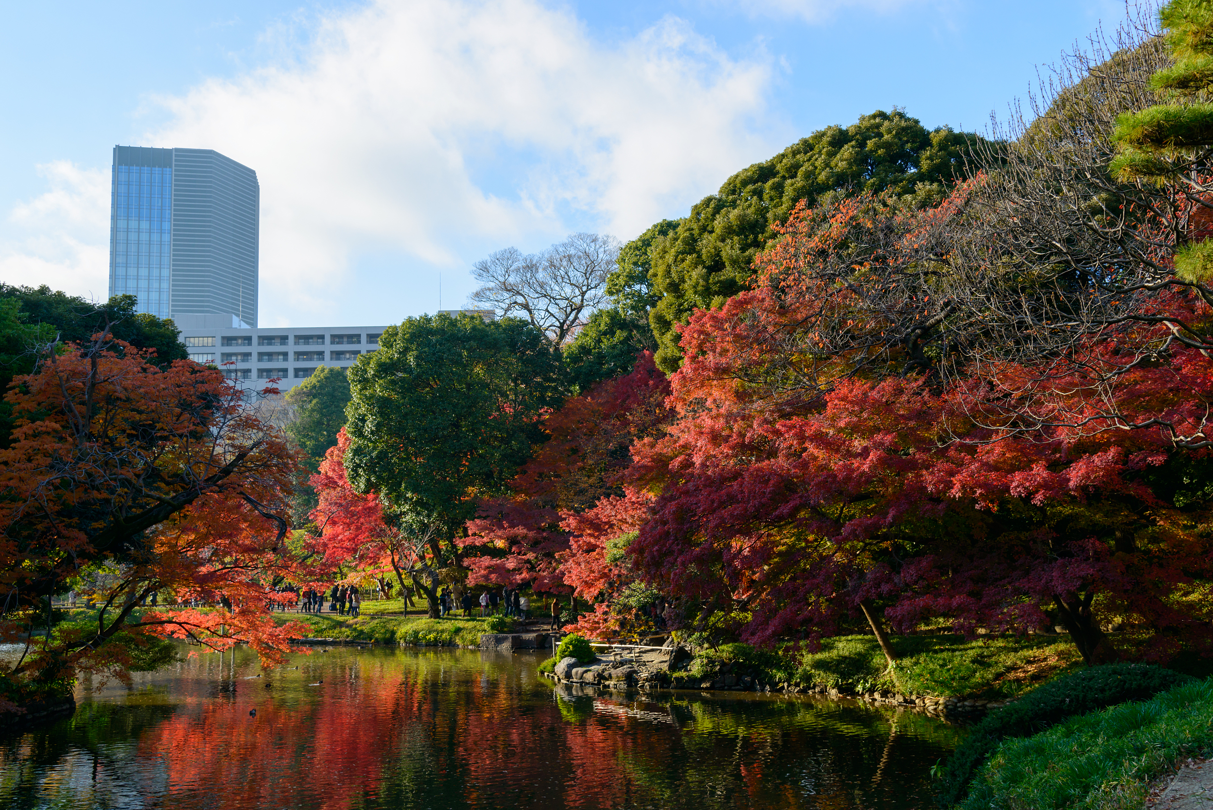 Koishikawa Korakuen Gardens Attraction Reviews Koishikawa Korakuen Gardens Tickets Koishikawa Korakuen Gardens Discounts Koishikawa Korakuen Gardens Transportation Address Opening Hours Attractions Hotels And Food Near Koishikawa Korakuen