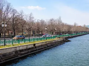 Dambovița River