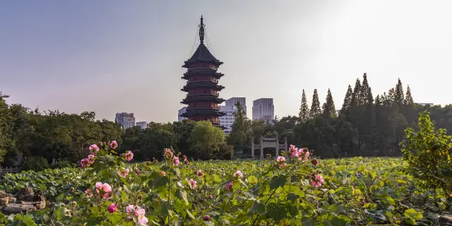 22年呉興区の人気観光スポット 呉興区の旅行ガイド 呉興区のおすすめ観光スポットのチケット ホテル 楽しみ方 グルメ レストラン Trip Com