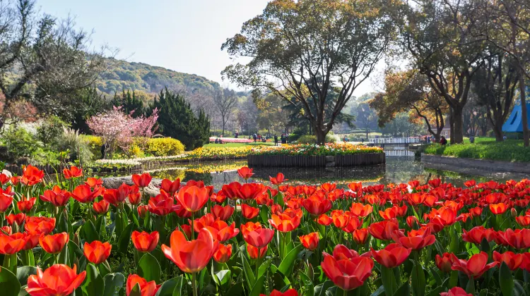 万博記念公園のレビュー 万博記念公園のチケット 万博記念公園の割引 万博記念公園の交通機関 所在地 営業時間 万博記念公園周辺の観光スポット ホテル グルメ Trip Com