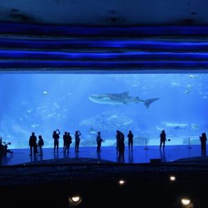 Zhuhai Chime-Long Tourist Resort,推薦