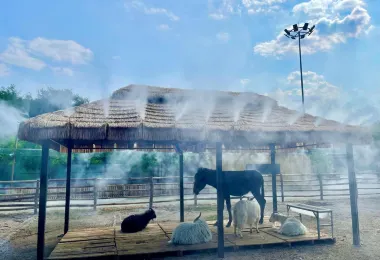 歡樂時光科普動物園 熱門景點照片