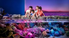 Sea Life Bangkok Ocean World
