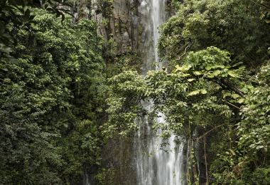 Wailua Falls Popular Attractions Photos