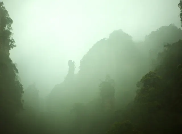 武陵源区 採薬老人 評判 案内 トリップドットコム