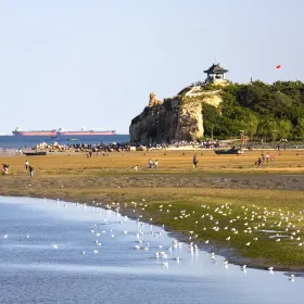 Qinhuangdao Bird Museum