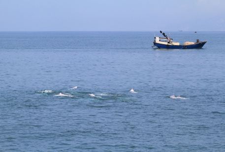 白海豚自然保護區