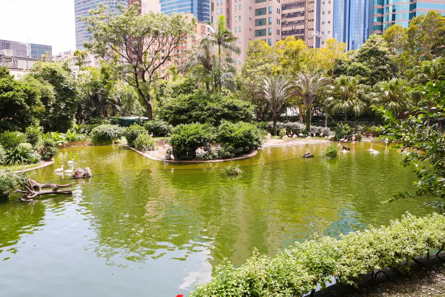 Kowloon Park3