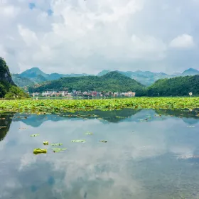 普者黑天鵝湖-觀景台