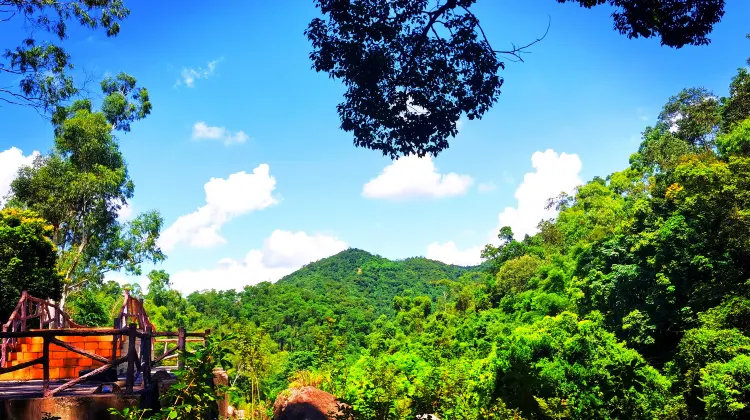 中山 逍遥谷 ハッピーバレー 評判 案内 トリップドットコム