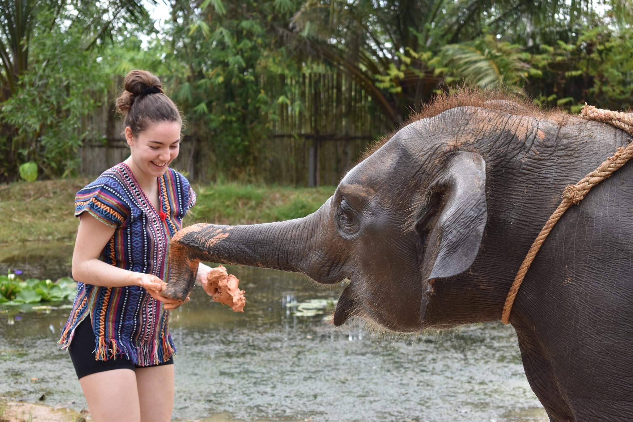 คู่มือท่องเที่ยวล่าสุดสำหรับ Elephant Care Park Phuket ประจำเดือนพฤษภาคม (อัปเดตปี 2023), รีวิว Elephant Care Park Phuket, ที่อยู่และเวลาเปิดทำการของ Elephant Care Park Phuket, สถานที่ท่องเที่ยวยอดนิยม โรงแรม และร้านอาหารใกล้ Elephant Care Park Phuket ...
